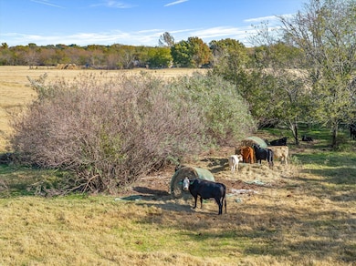 Lot 1 Cr-245, Terrell, TX 75160 - photo 6