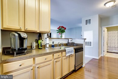 22641 Blue Elder Terrace unit 301, Ashburn, VA 20148 - photo 7