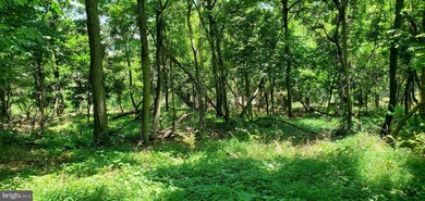 513 519 Blue Ln, Columbia, PA 17512 - photo 4