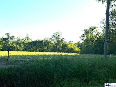 Tract 6 State Road S-21-881, Scranton, SC 29591 - photo 3