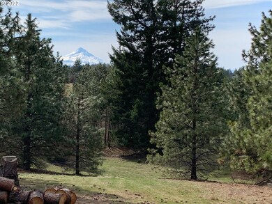 0 Mt View Rd unit 22356620, Lyle, WA 98635 - photo 2