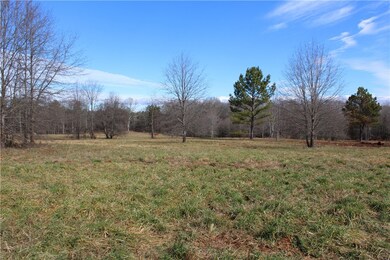 44 ac Olden Porter Rd, Pendleton, SC 29670 - photo 5