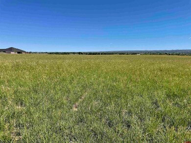Lot 12 Road 23 5, Cortez, CO 81323 - photo 7