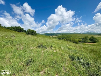 0 Horne Hollow Rd Tract B, Sugar Grove, VA 24375 - photo 6