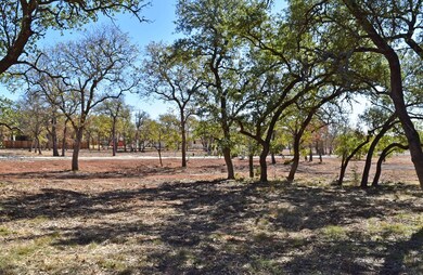 2141 Stone Meadow unit 366, Fredericksburg, TX 78624 - photo 4