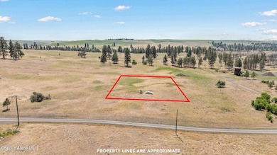 NNA 3rd State Route, Malden, WA 99149 - photo 2