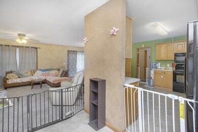 25203Baseline