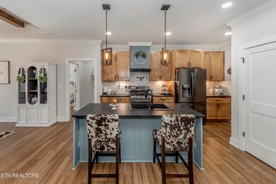 102 Doya Ln, Loudon, TN 37774 - photo 3