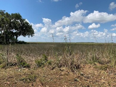 145 St Annies Ln unit (Lot 7), Saint Simons Island, GA 31522 - photo 7