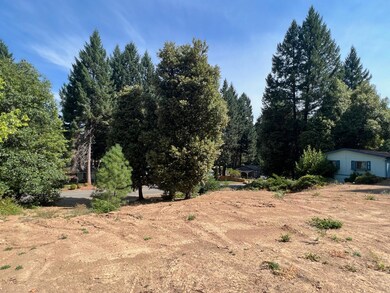 0 Barlow St, Cave Junction, OR 97523 - photo 5