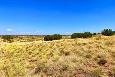 3992 Sorrel Rd, Snowflake, AZ 85937 - photo 6