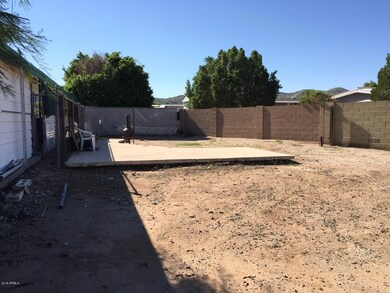 back yard 2