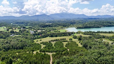 1430 Swannsylvania Rd, Dandridge, TN 37725 - photo 5