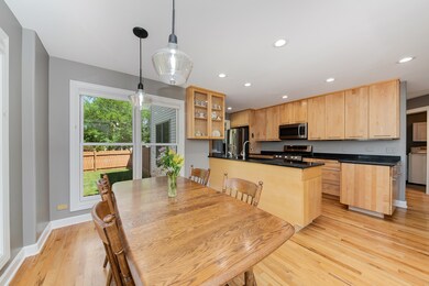 4803 Snapjack Cir, Naperville, IL 60564 - photo 6