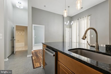 Silverton Condominiums, Silver Spring, MD 20910 - photo 7