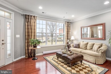 43029 Clarks Mill Terrace, Ashburn, VA 20148 - photo 5
