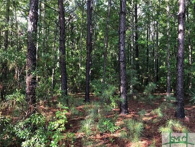 104 Harmony Dr, Springfield, GA 31329 - photo 7