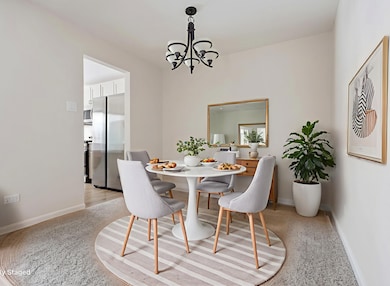 847 E Coach Rd unit 1, Palatine, IL 60074 - photo 3