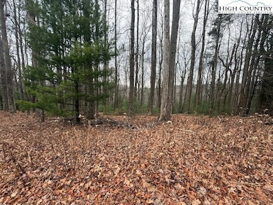 TBD Jobs Rd, Laurel Springs, NC 28644 - photo 3