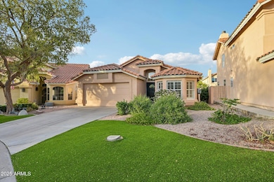 Exterior Yard with Turf