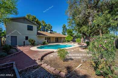 845 W Javelina Ave, Mesa, AZ 85210 - photo 7