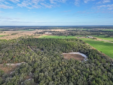 10431 NE 32nd Ln, Bronson, FL 32621 - photo 5