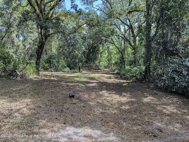 9001 Treiman Blvd, Rdg Mnr Est, FL 33597 - photo 3