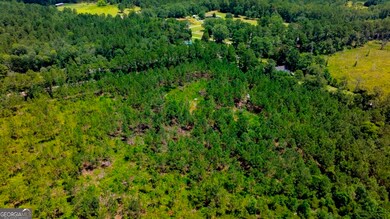 0 E Hwy 280 unit 10565933, Pembroke, GA 31321 - photo 4