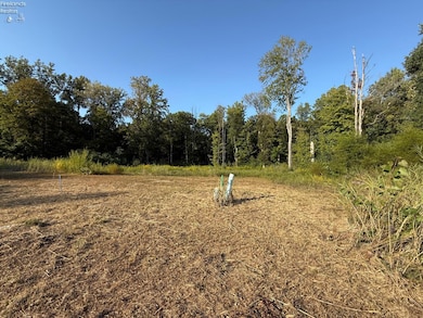 0 Merlin Ln unit 20253639, Clyde, OH 43410 - photo 4