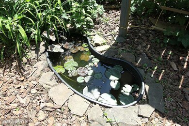 44 Philadelphia Ave, Takoma Park, MD 20912 - photo 3