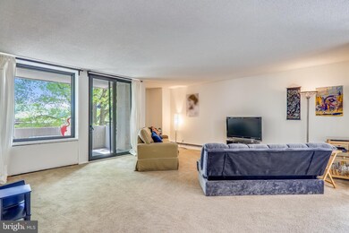 Carrollsburg Condos unit E100, Washington, DC 20024 - photo 3