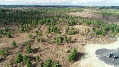 15814 Boise Ln SE, Yelm, WA 98597 - photo 4