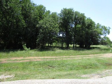 13081 Crestwood Dr, Whitney, TX 76692 - photo 2