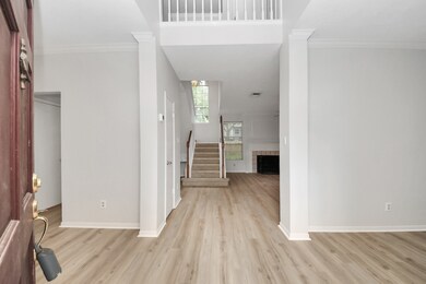 Beautiful brand new LVP flooring