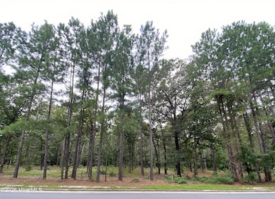 231 Meyer Farm Dr, Pinehurst, NC 28374 - photo 3