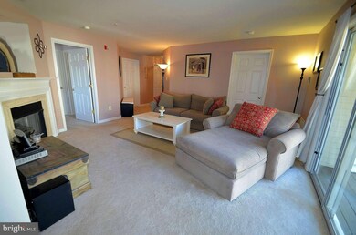 9150 Gracious End Ct unit 203, Columbia, MD 21046 - photo 6