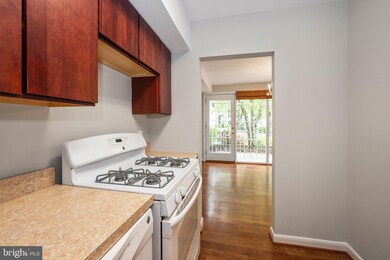 769 Delaware Ave SW unit 174, Washington, DC 20024 - photo 4