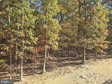 Lot 6 Myla Ln, Hedgesville, WV 25427 - photo 6