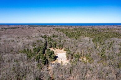 DJI_0454