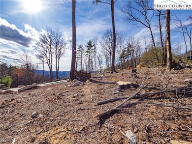 Lot 65 Angelfire Trail, Deep Gap, NC 28618 - photo 5