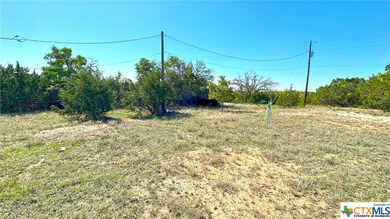 364 Apache St, Kempner, TX 76539 - photo 3