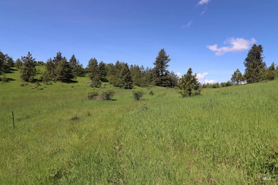 TBD Serenity Rd, Kamiah, ID 83536 - photo 4