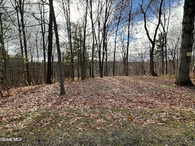 L11.9 Clarks Mills Rd, Greenwich, NY 12834 - photo 3