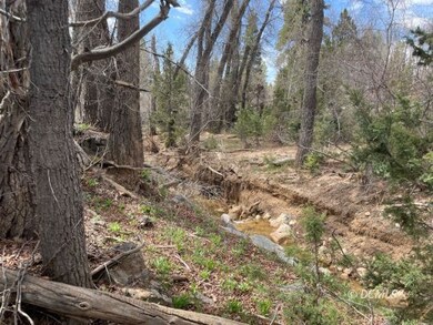 317 Sunflower, Duck Creek Village, UT 84762 - photo 5