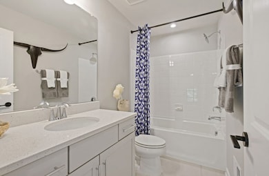 Belle Secondary Bathroom