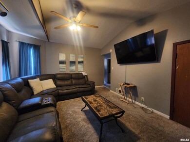 3217 18th Ave, Rock Island, IL 61201 - photo 6