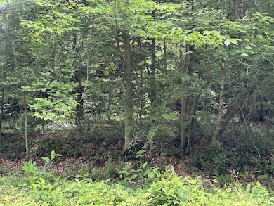 2812 Union Hill Rd, Joelton, TN 37080 - photo 3