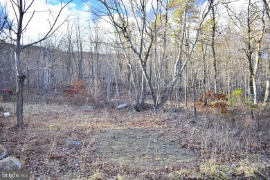0 12 Elk Trail unit VAFV2018238, Winchester, VA 22602 - photo 2
