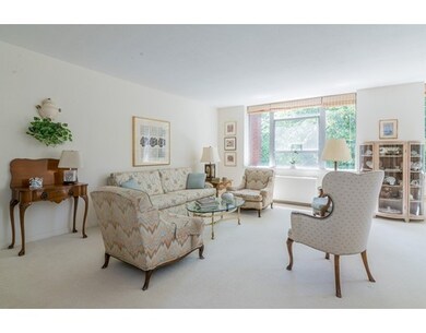 Hammond Park Condominiums unit 204, Chestnut Hill, MA 02467 - photo 4