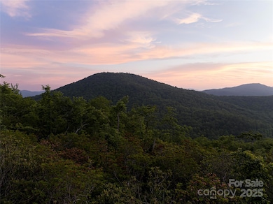 591 Garden Ln, Hendersonville, NC 28792 - photo 4